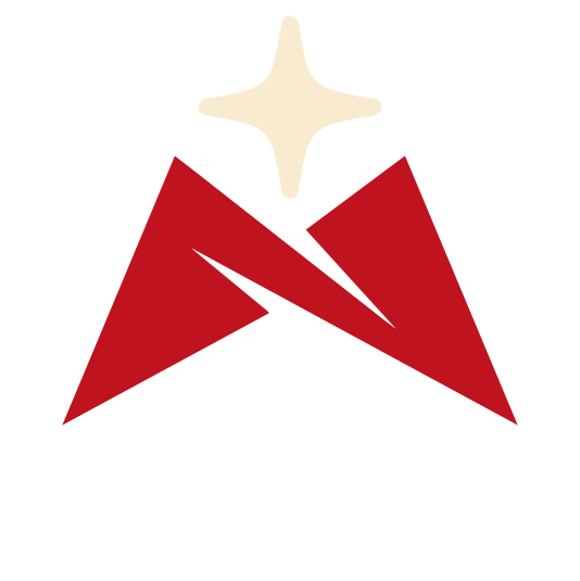 Director Icon